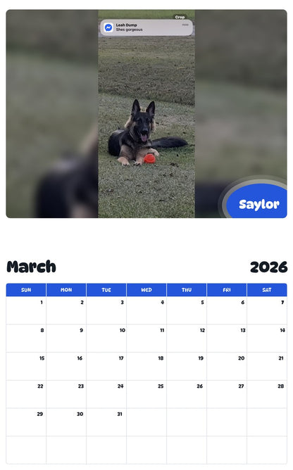 November 2025 - October 2026 Saylor - Pawidols Pet Calendar