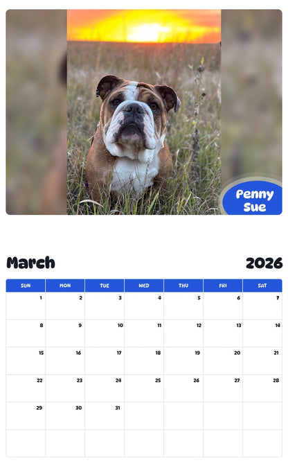November 2025 - October 2026 Penny Sue - Pawidols Pet Calendar