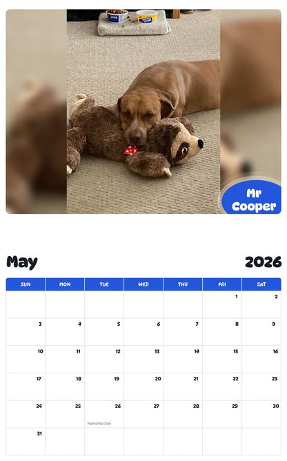 2026 - 2027 Mr Cooper - Pawidols Pet Calendar