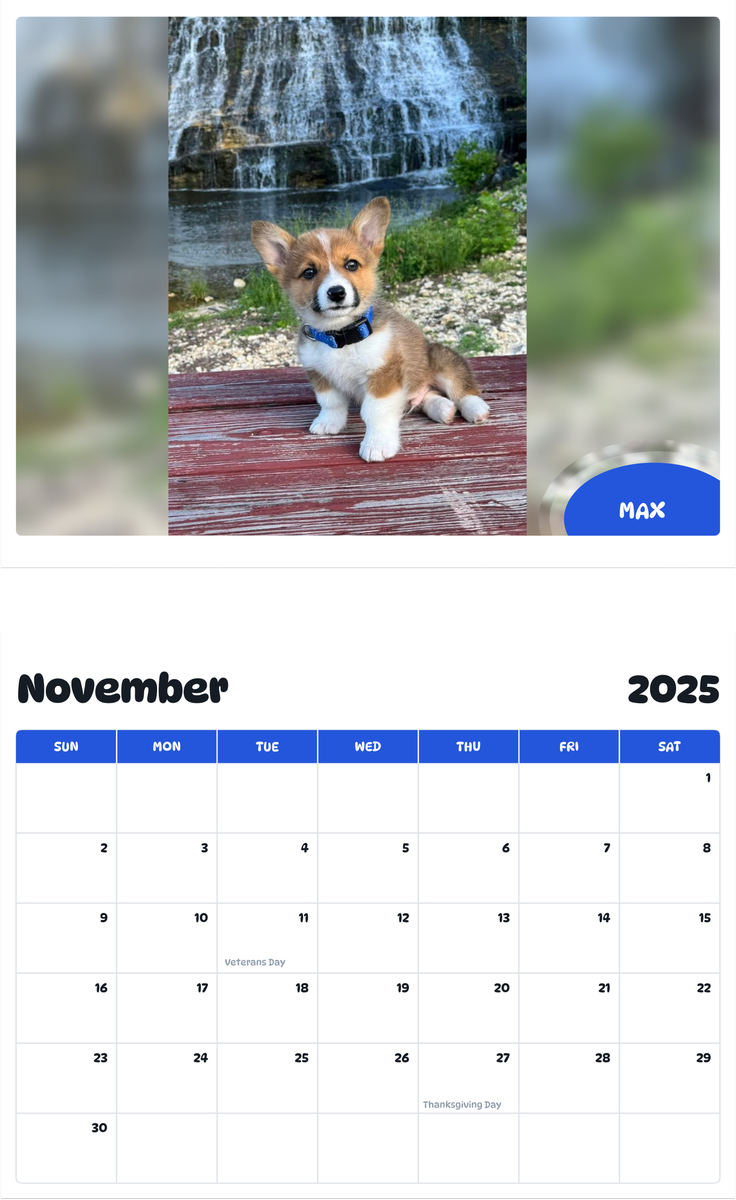 July 2025 - June 2026 Max - Pawidols Pet Calendar
