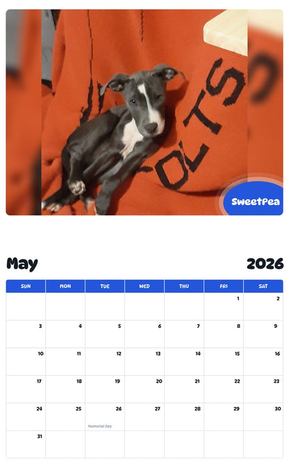 2026 - 2027 SweetPea - Pawidols Pet Calendar