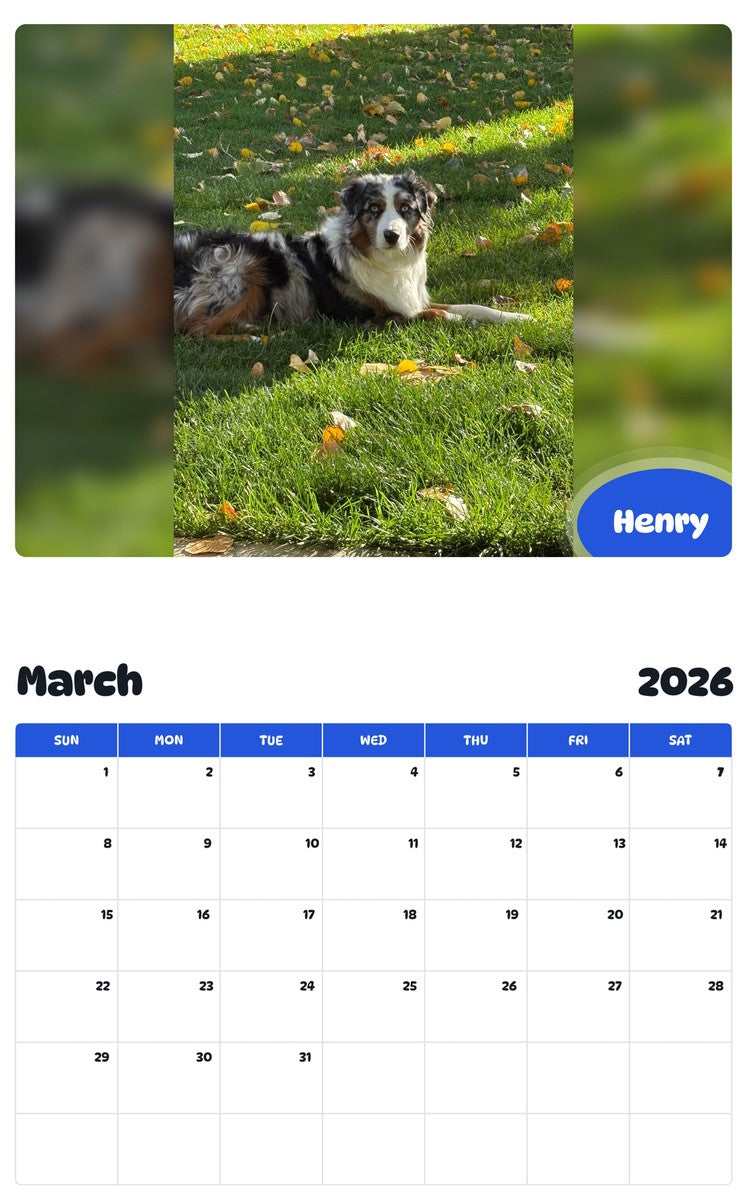 November 2025 - October 2026 Henry - Pawidols Pet Calendar