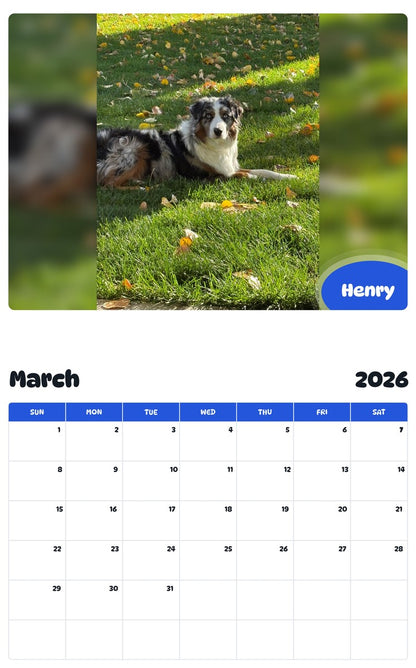 November 2025 - October 2026 Henry - Pawidols Pet Calendar