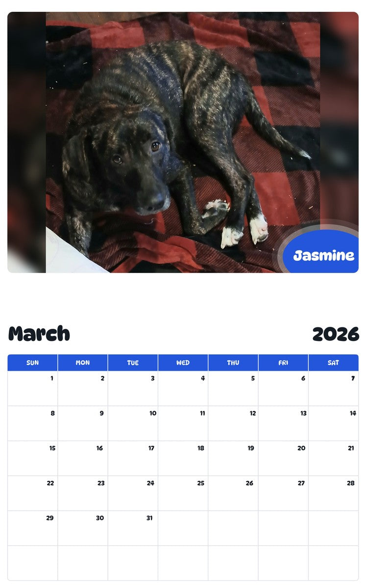 November 2025 - October 2026 Jasmine - Pawidols Pet Calendar