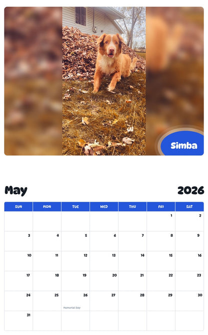 2026 - 2027 Simba - Pawidols Pet Calendar