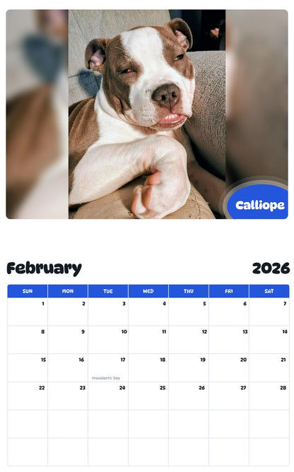 November 2025 - October 2026 Calliope - Pawidols Pet Calendar
