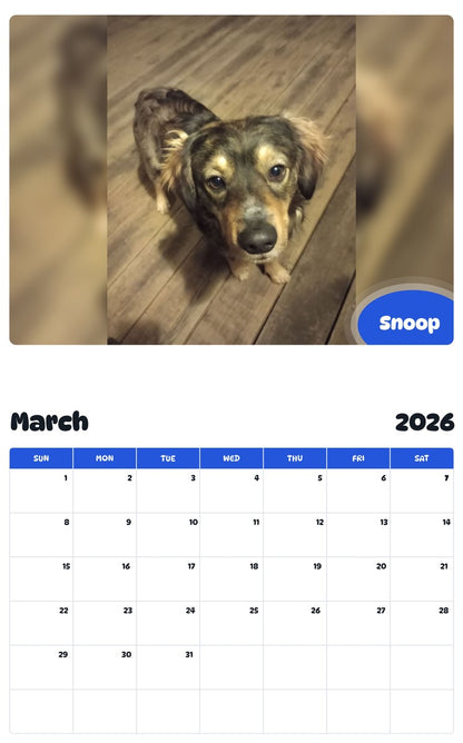 November 2025 - October 2026 Snoop - Pawidols Pet Calendar