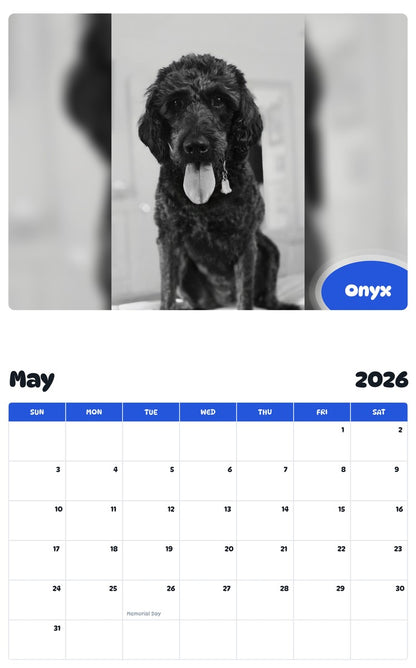 2026 - 2027 Onyx - Pawidols Pet Calendar