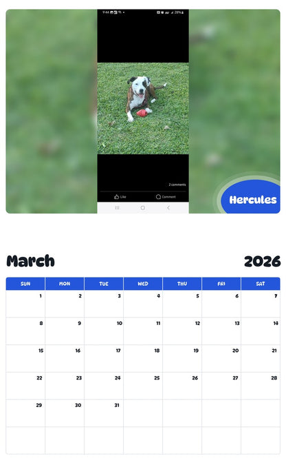 November 2025 - October 2026 Hercules - Pawidols Pet Calendar