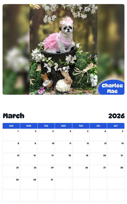 November 2025 - October 2026 Charlee Mae - Pawidols Pet Calendar