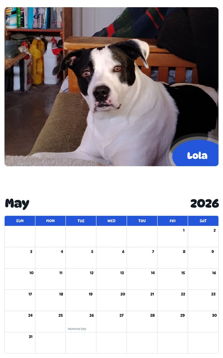 2026 - 2027 Lola - Pawidols Pet Calendar
