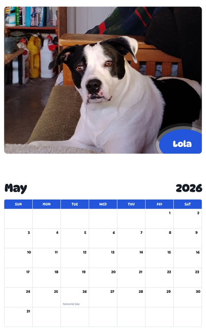 2026 - 2027 Lola - Pawidols Pet Calendar