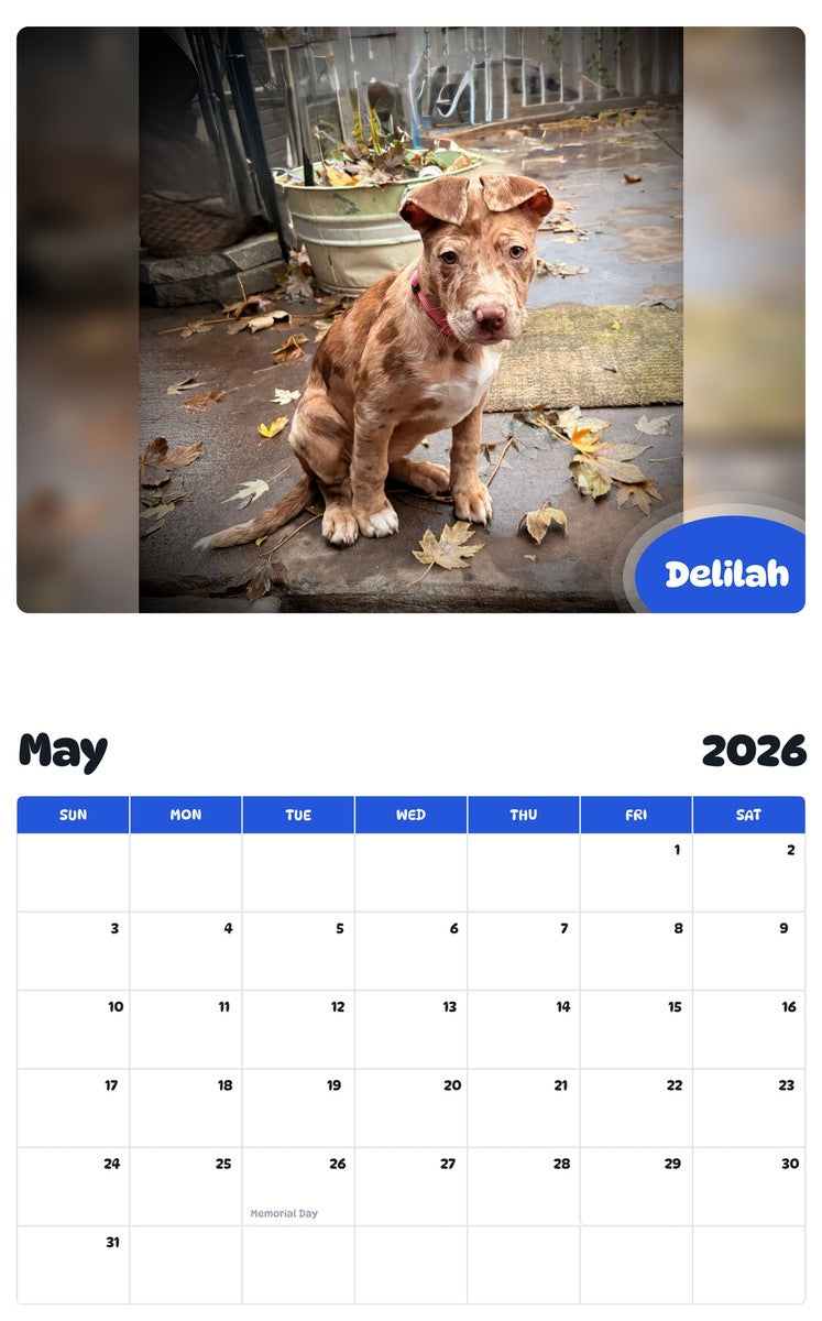 2026 - 2027 Delilah - Pawidols Pet Calendar