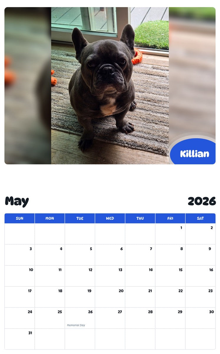 2026 - 2027 Killian - Pawidols Pet Calendar