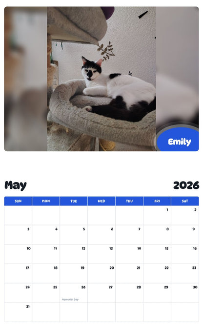 2026 - 2027 Emily - Pawidols Pet Calendar