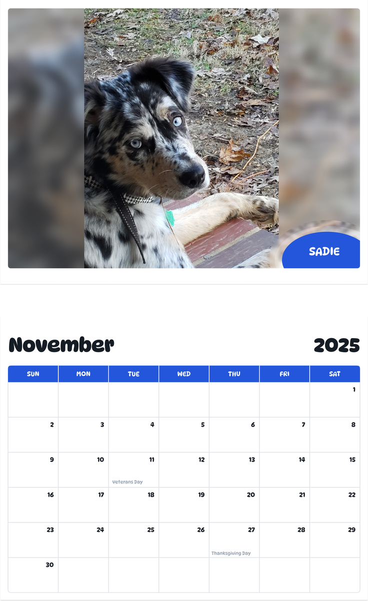 July 2025 - June 2026 Sadie - Pawidols Pet Calendar