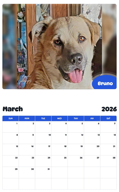 November 2025 - October 2026 Bruno - Pawidols Pet Calendar