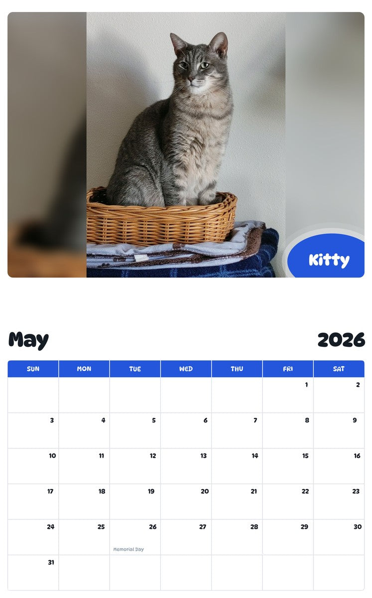 2026 - 2027 Kitty - Pawidols Pet Calendar