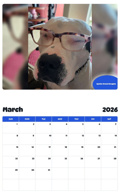 November 2025 - October 2026 Apollo Creed Douglas - Pawidols Pet Calendar