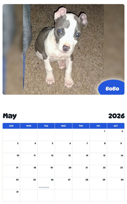 2026 - 2027 BoBo - Pawidols Pet Calendar