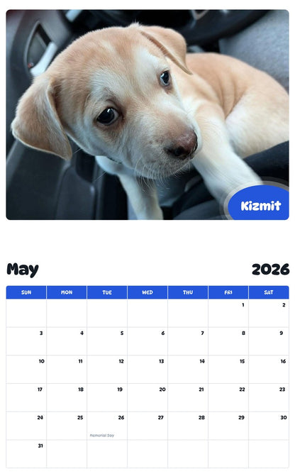 2026 - 2027 Kizmit - Pawidols Pet Calendar