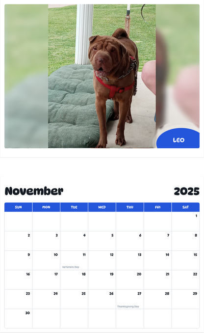 July 2025 - June 2026 Leo - Pawidols Pet Calendar
