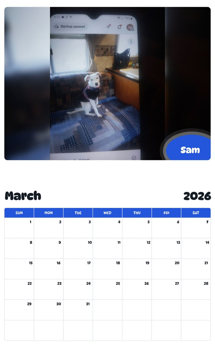 November 2025 - October 2026 Sam - Pawidols Pet Calendar