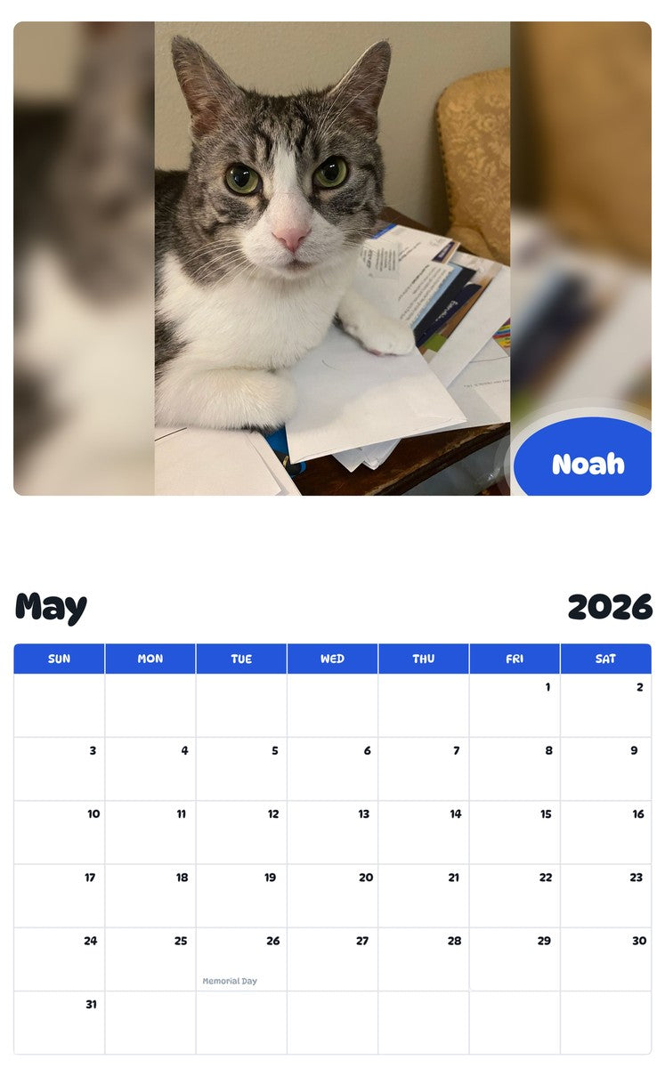 2026 - 2027 Noah - Pawidols Pet Calendar