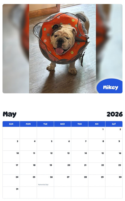 2026 - 2027 Mikey - Pawidols Pet Calendar