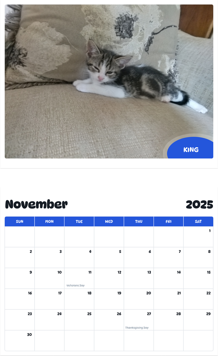 July 2025 - June 2026 King - Pawidols Pet Calendar