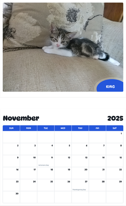 July 2025 - June 2026 King - Pawidols Pet Calendar