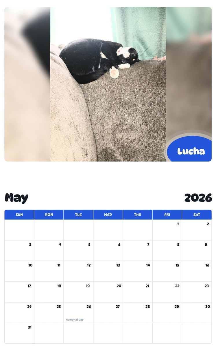2026 - 2027 Lucha - Pawidols Pet Calendar