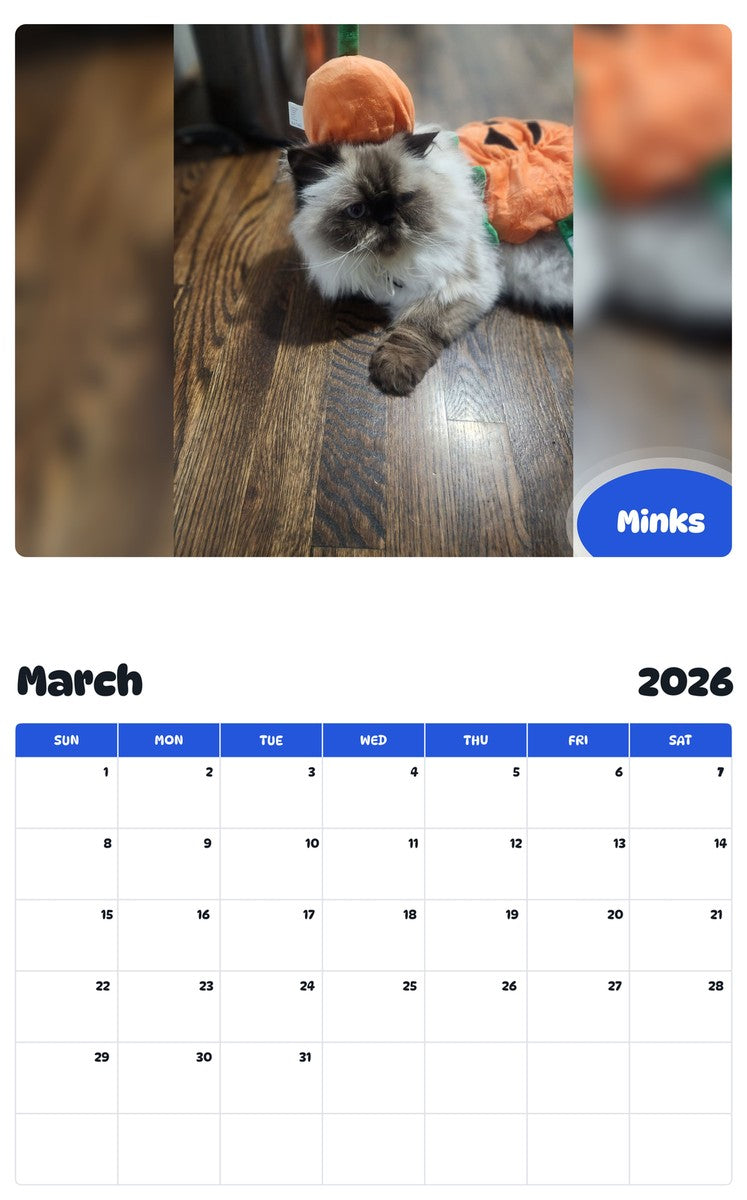 November 2025 - October 2026 Minks - Pawidols Pet Calendar