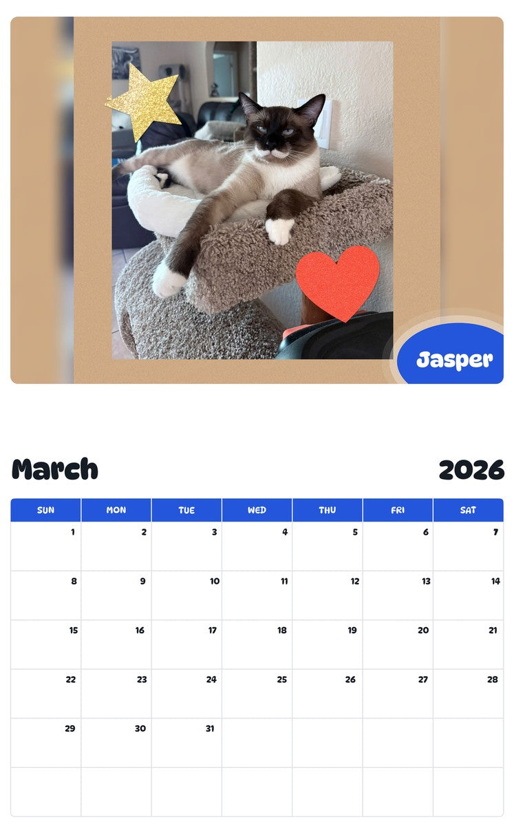 November 2025 - October 2026 Jasper - Pawidols Pet Calendar
