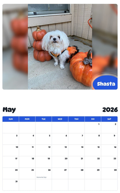 2026 - 2027 Shasta - Pawidols Pet Calendar