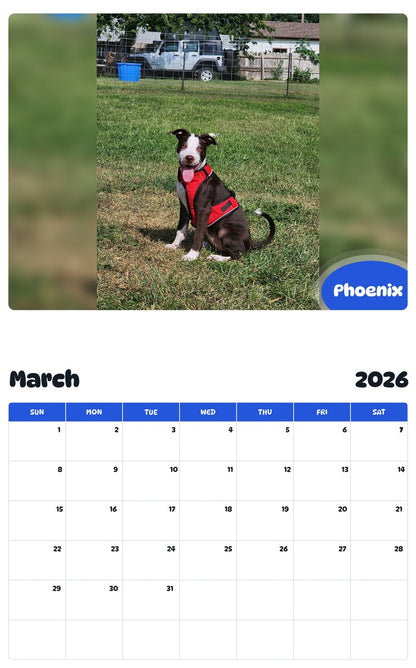 November 2025 - October 2026 Phoenix - Pawidols Pet Calendar