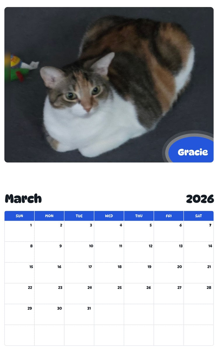 November 2025 - October 2026 Gracie - Pawidols Pet Calendar