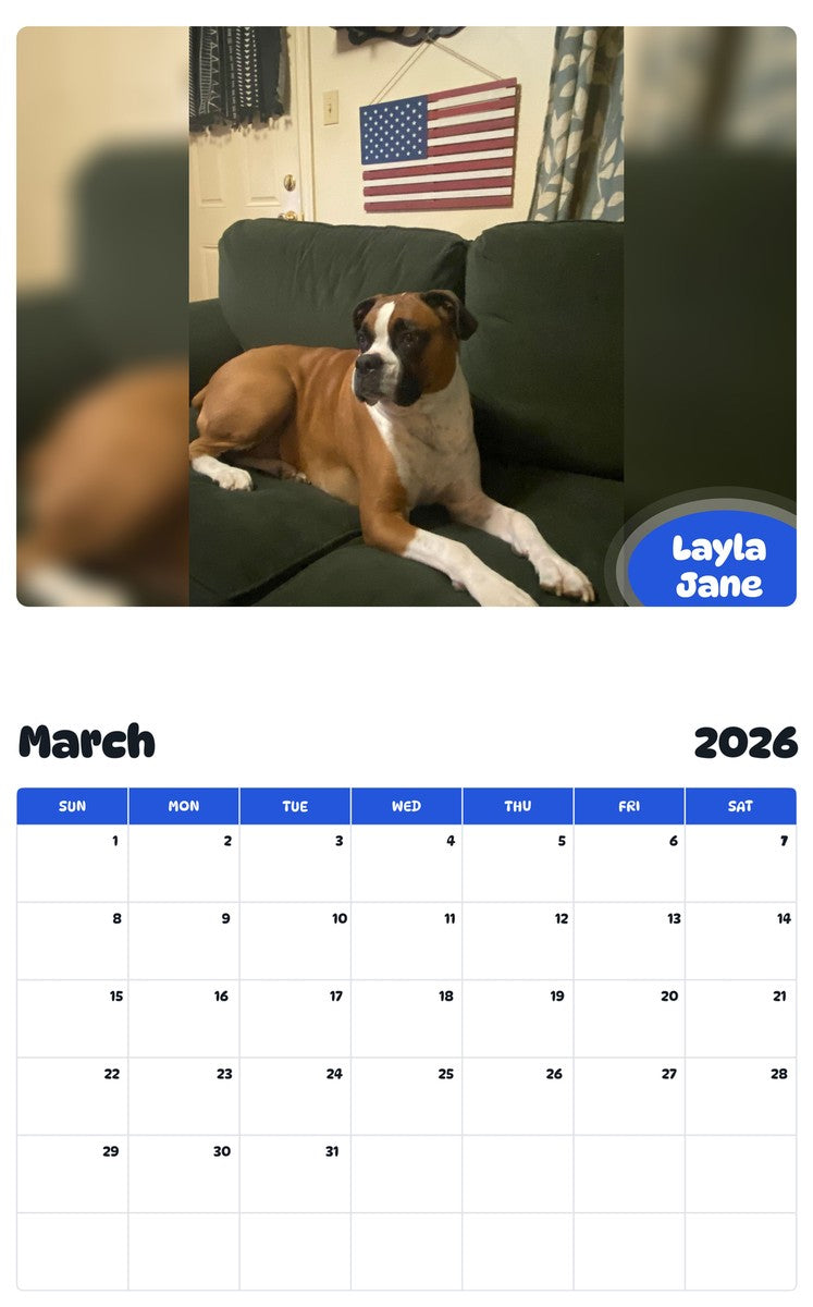 November 2025 - October 2026 Layla Jane - Pawidols Pet Calendar