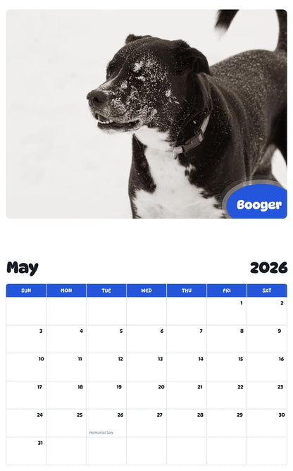 2026 - 2027 Booger - Pawidols Pet Calendar