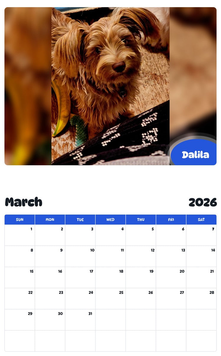 November 2025 - October 2026 Dalila - Pawidols Pet Calendar