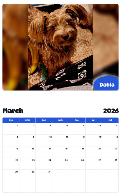 November 2025 - October 2026 Dalila - Pawidols Pet Calendar