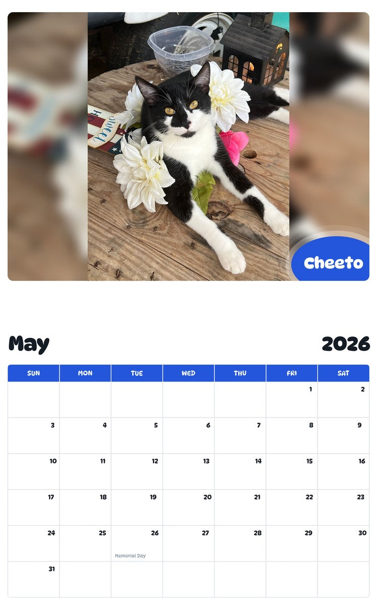 2026 - 2027 Cheeto - Pawidols Pet Calendar