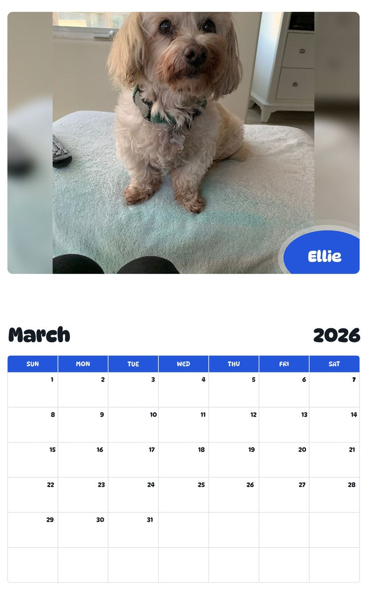 November 2025 - October 2026 Ellie - Pawidols Pet Calendar