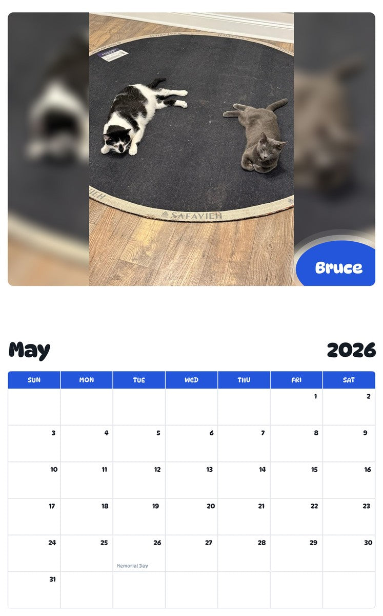 2026 - 2027 Bruce - Pawidols Pet Calendar