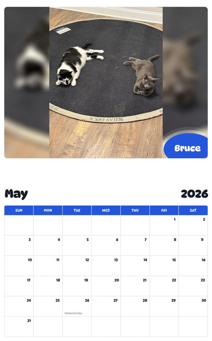 2026 - 2027 Bruce - Pawidols Pet Calendar