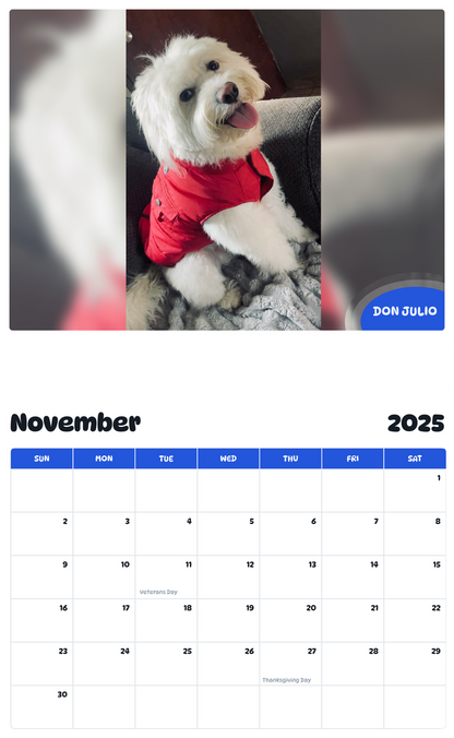 July 2025 - June 2026 Don Julio - Pawidols Pet Calendar