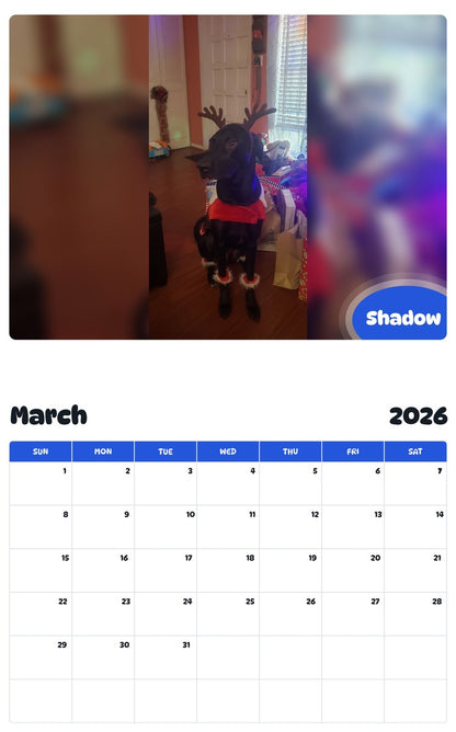 November 2025 - October 2026 Shadow - Pawidols Pet Calendar