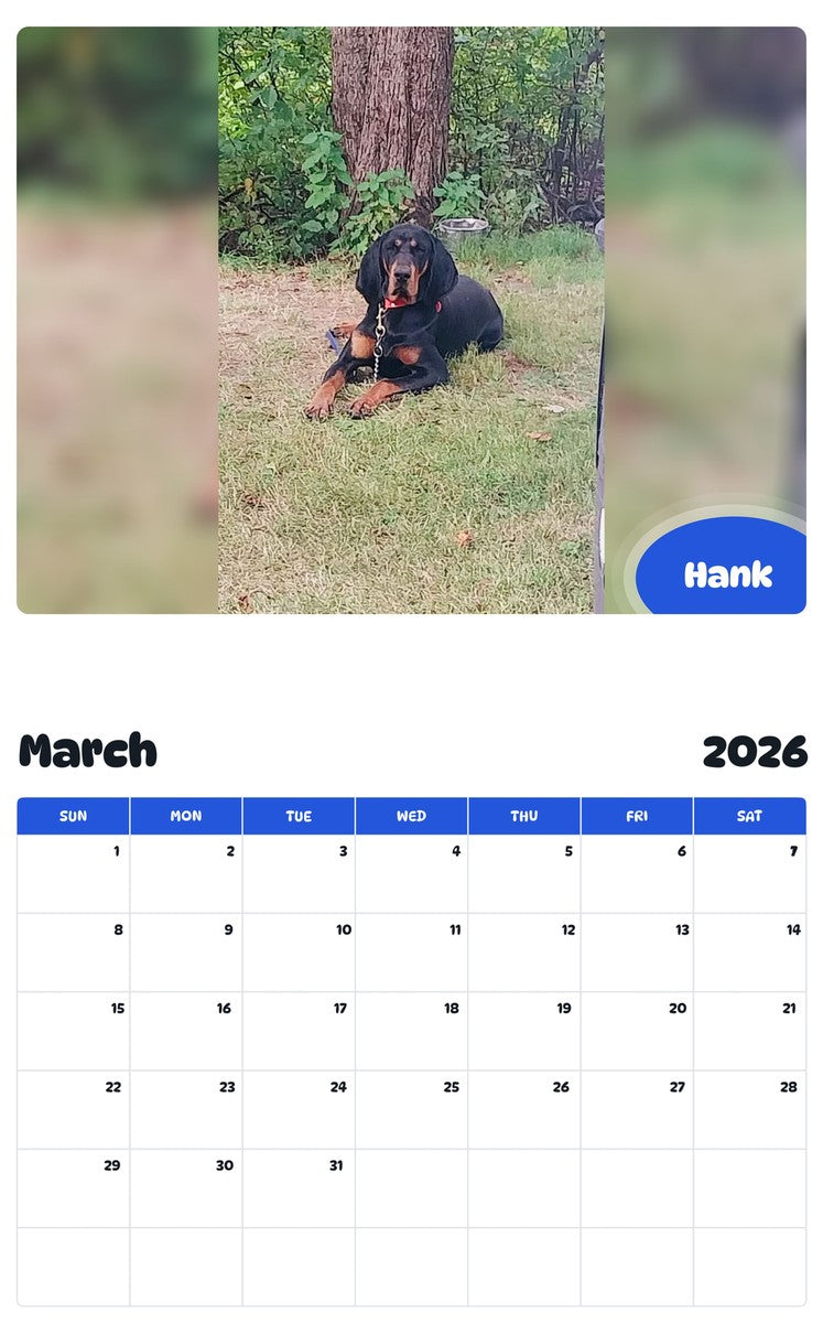 November 2025 - October 2026 Hank - Pawidols Pet Calendar