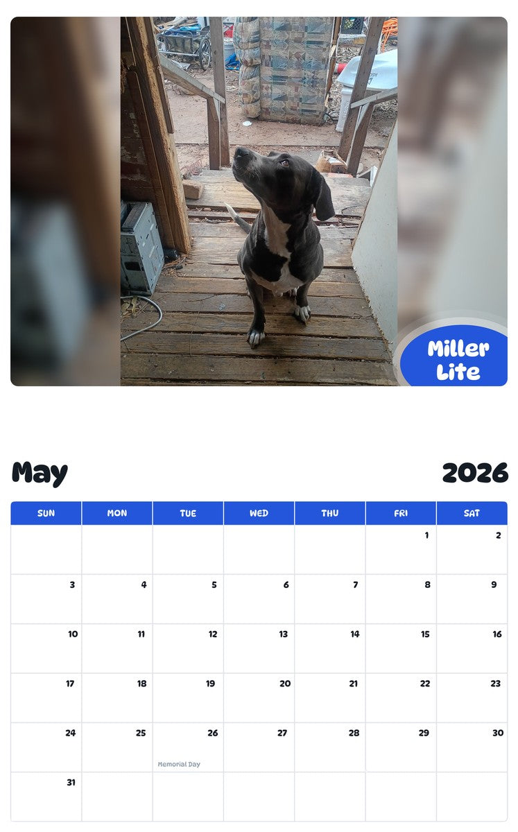 2026 - 2027 Miller Lite - Pawidols Pet Calendar