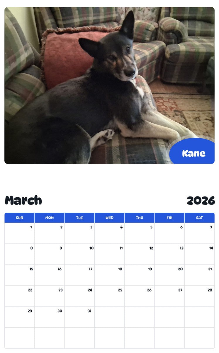 November 2025 - October 2026 Kane - Pawidols Pet Calendar